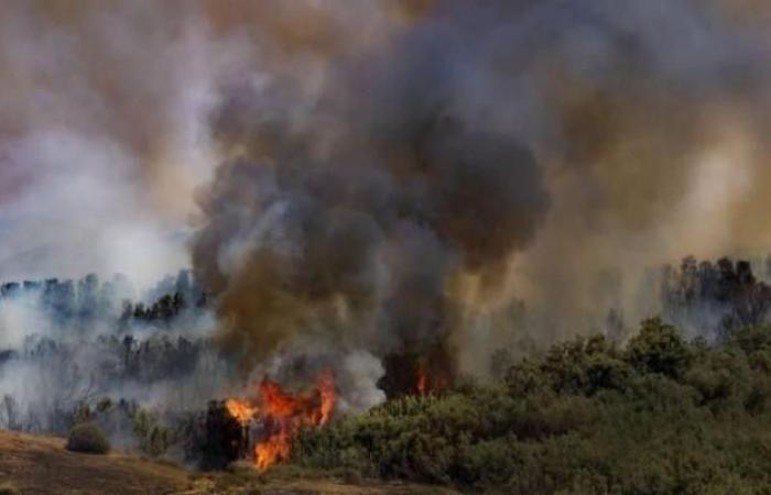 27 حريقًا في البلدات المحتلة والمستوطنات المحيطة بغزة بفعل الطائرات والبالونات الحارقة