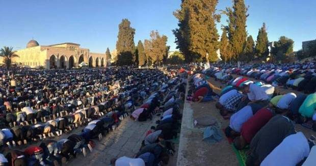  المفتي العام: صلاة عيد الأضحى الساعة 6:40 صباحا
