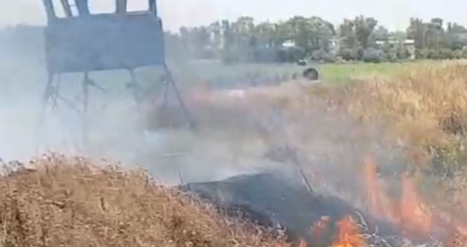 حريقان في غابات إسرائيلية في "غلاف غزة"