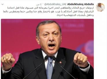 مستشار محمد بن زايد: أردوغان خريج الحانات والمقاهي !